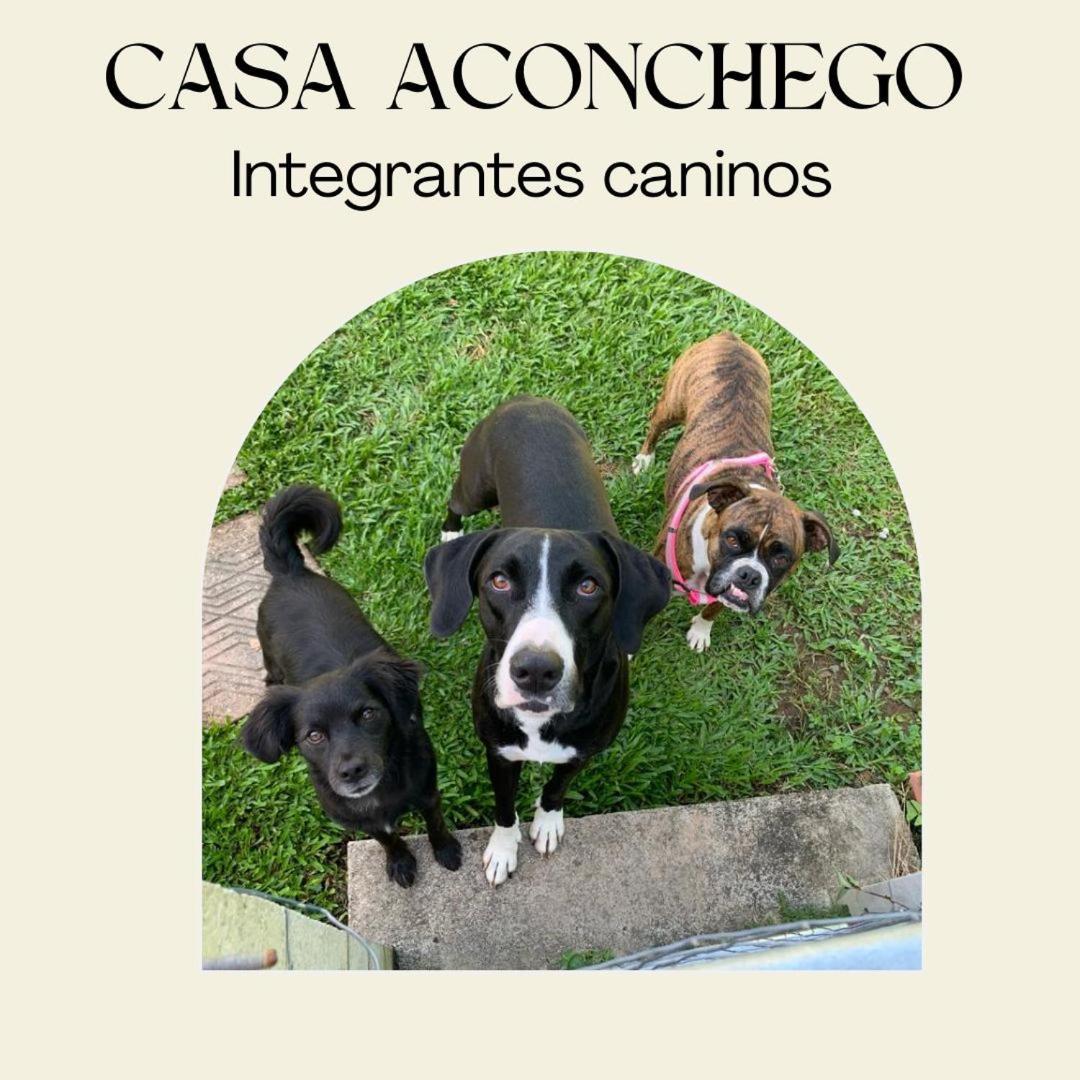 פומרוד Casa Aconchego 345 Ao Lado Alles Park מראה חיצוני תמונה